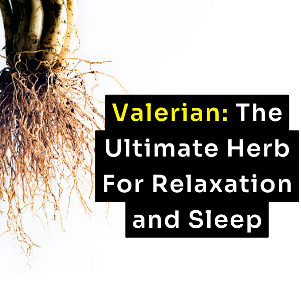 Valerian: The Ultimate Herb For Relaxation And Sleep – Fmula+