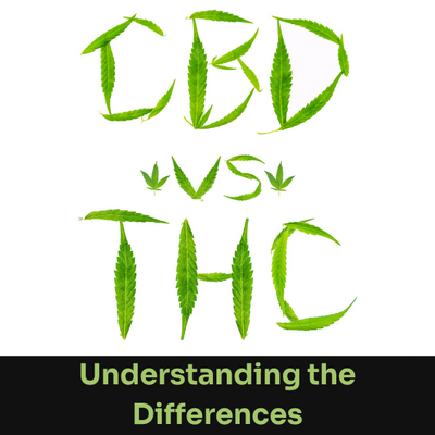 CBD vs THC: Understanding the Key Differences And Benefits