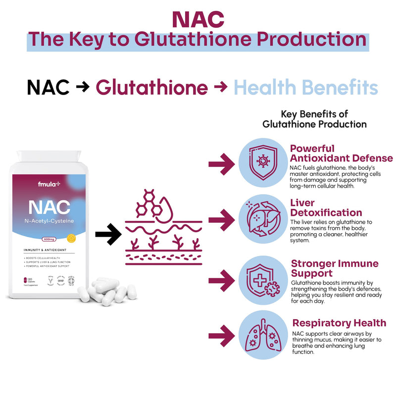 NAC N-Acetyl-Cysteine 600mg | Organic NAC Supplement Capsules for Immunity & Antioxidant Support | N-Acetyl Cysteine Supplement | Amino Acids Immune Support for Adults | Vegan - 120 Capsules fmula+